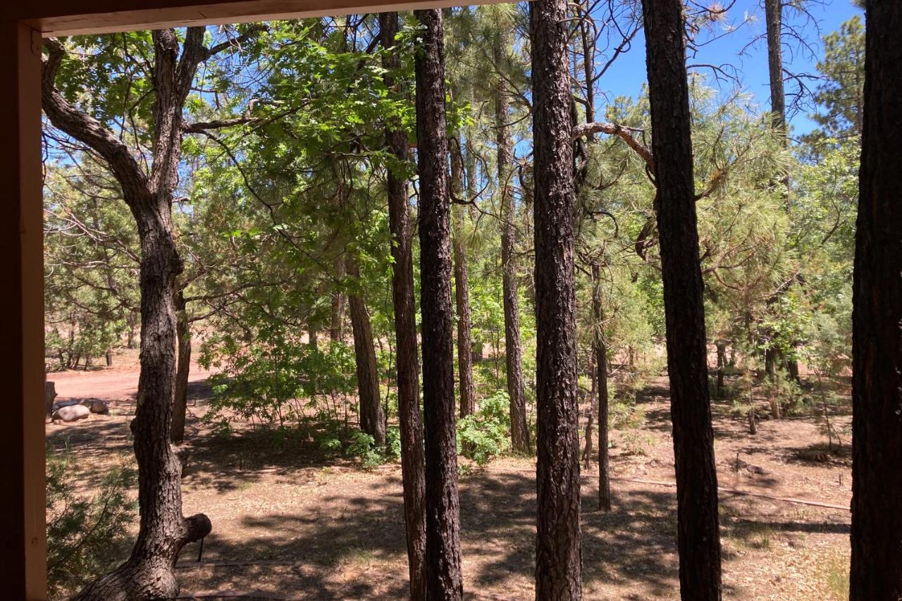 派托普湖畔Tranquil Pines Retreat别墅 外观 照片